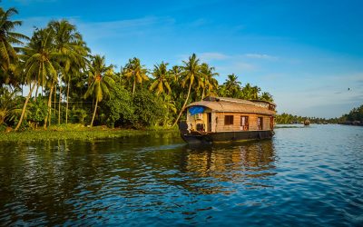 Kerala Tour Package from Cochin – 6 Days / 5 Nights